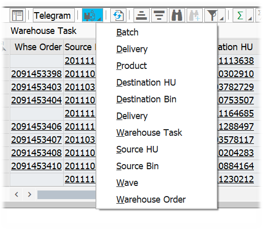 SAP EWM MFS Warehouse Monitor_17