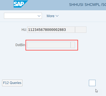 SAP Extended warehouse management loading_08